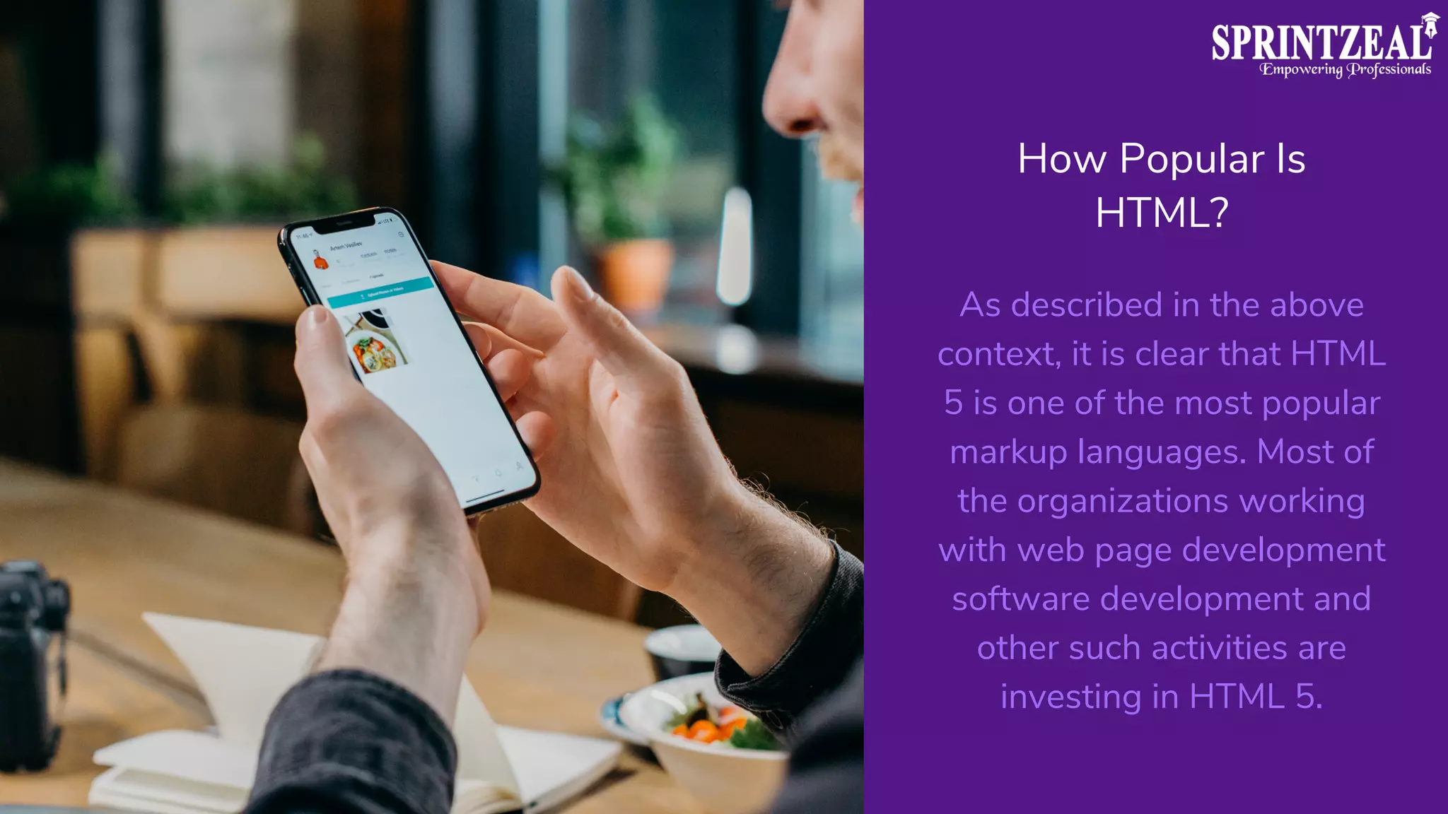 How Popular Is
HTML?


As described in the above
context, it is clear that HTML
5 is one of the most popular
markup languages. Most of
the organizations working
with web page development
software development and
other such activities are
investing in HTML 5.


 