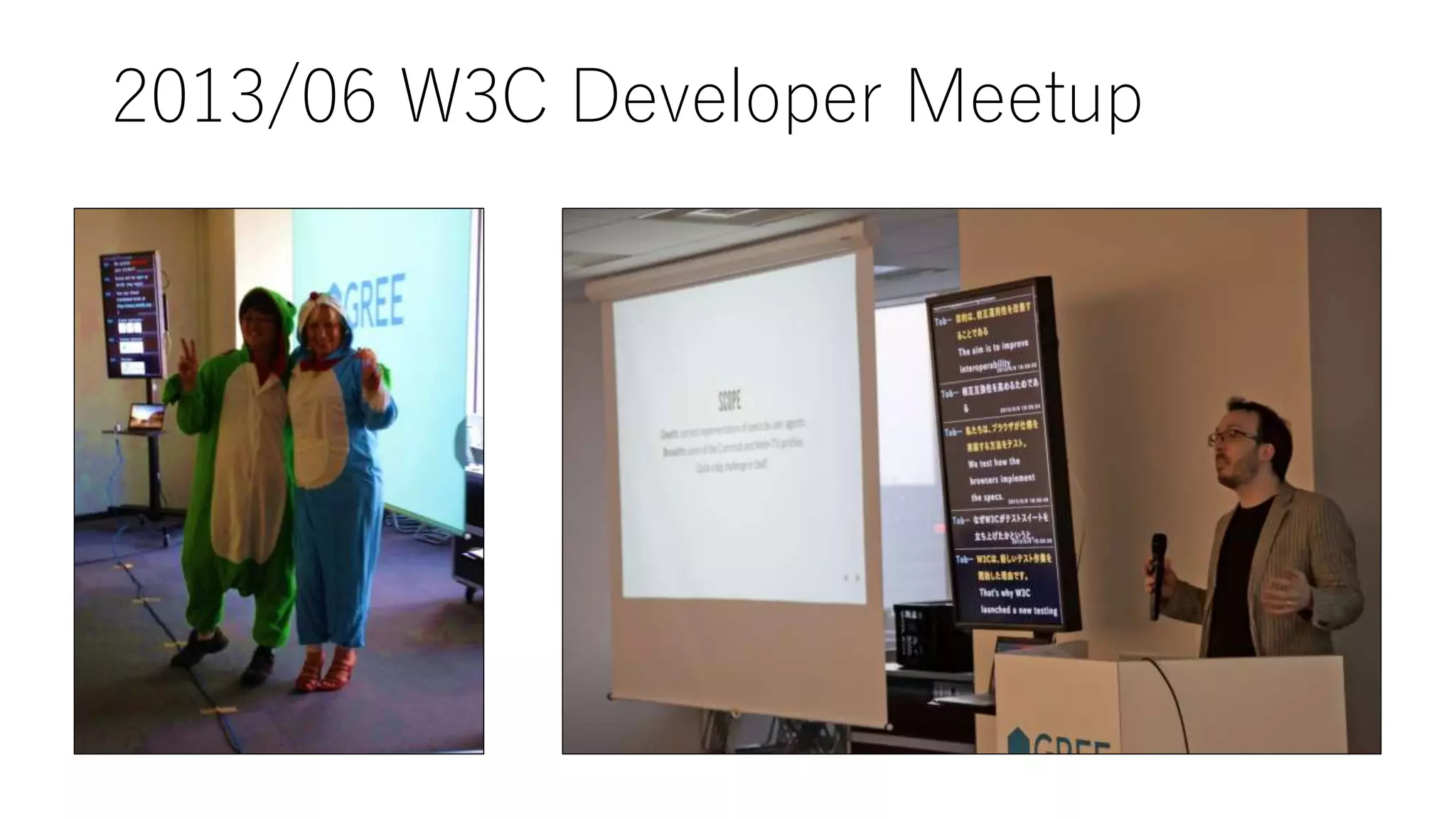 2013/06 W3C Developer Meetup
 