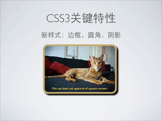 CSS3
 