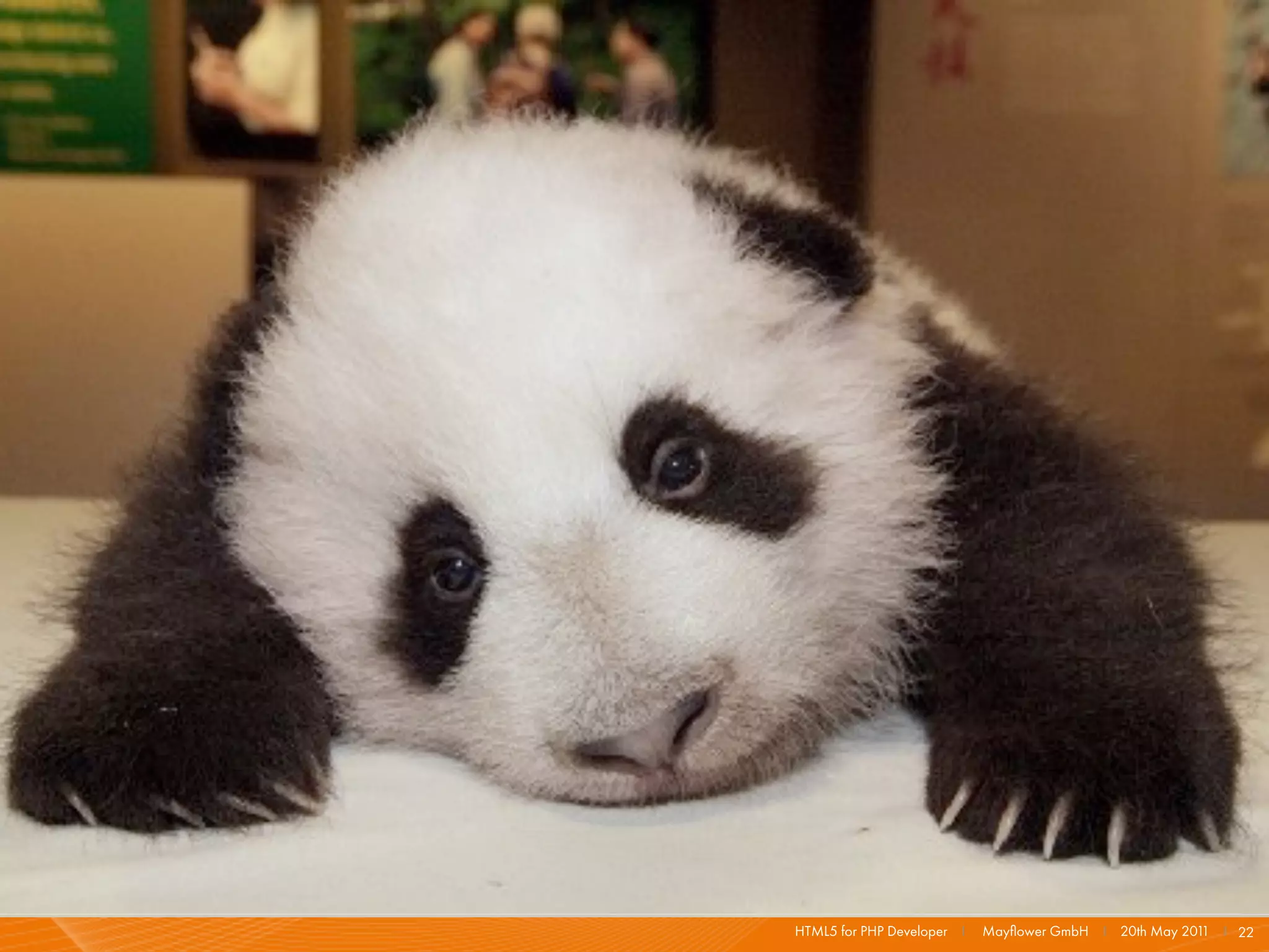 HTML5 for PHP Developer I   Mayﬂower GmbH I 20th May 201 I 22
                                                        1
 