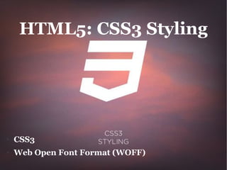 HTML5: Performance &
        Integration




●   Web Workers
●   XMLHttpRequest 2
 
