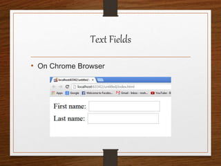 Text Fields
• On Chrome Browser
 