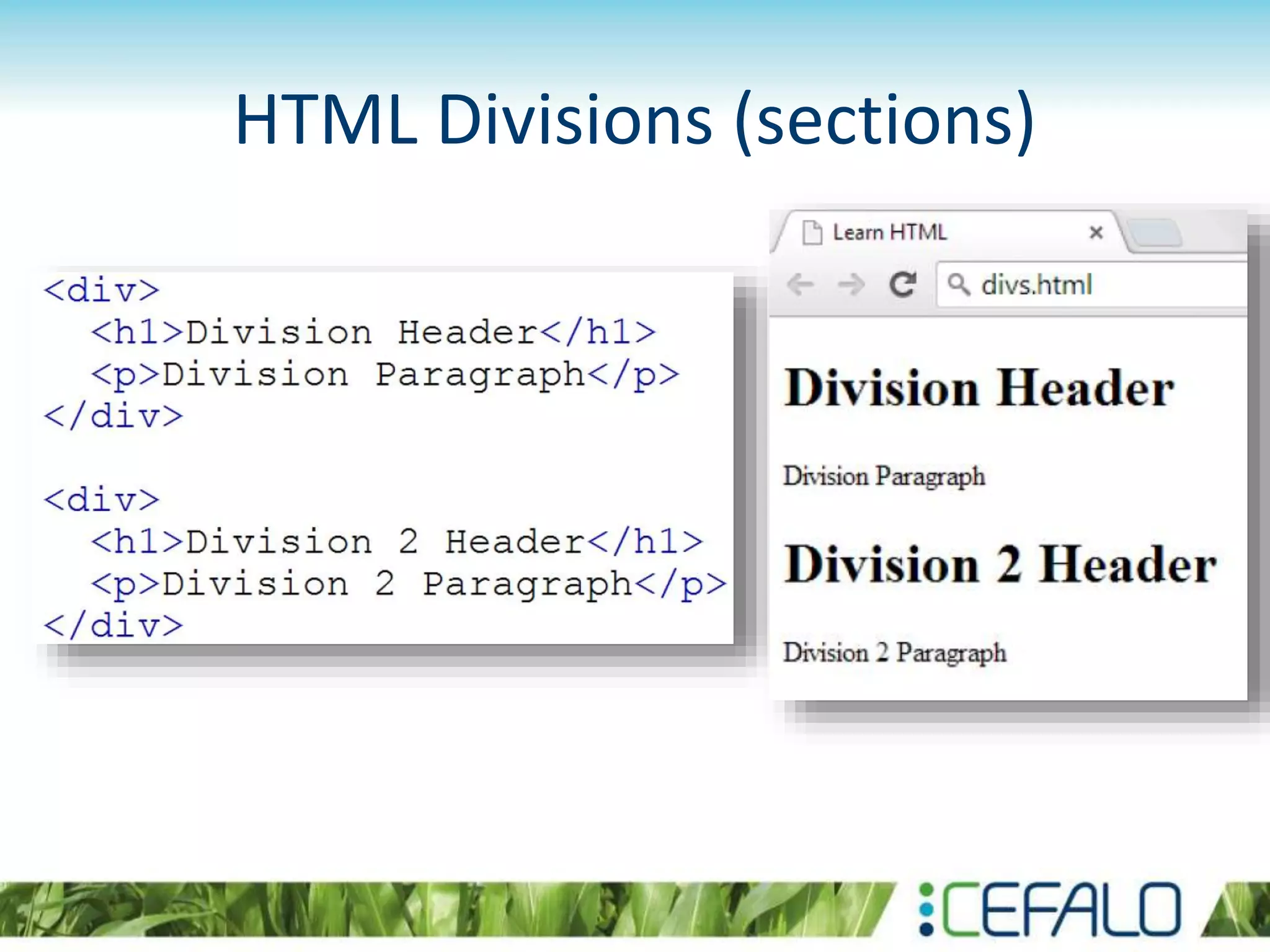 HTML Divisions (sections)
 