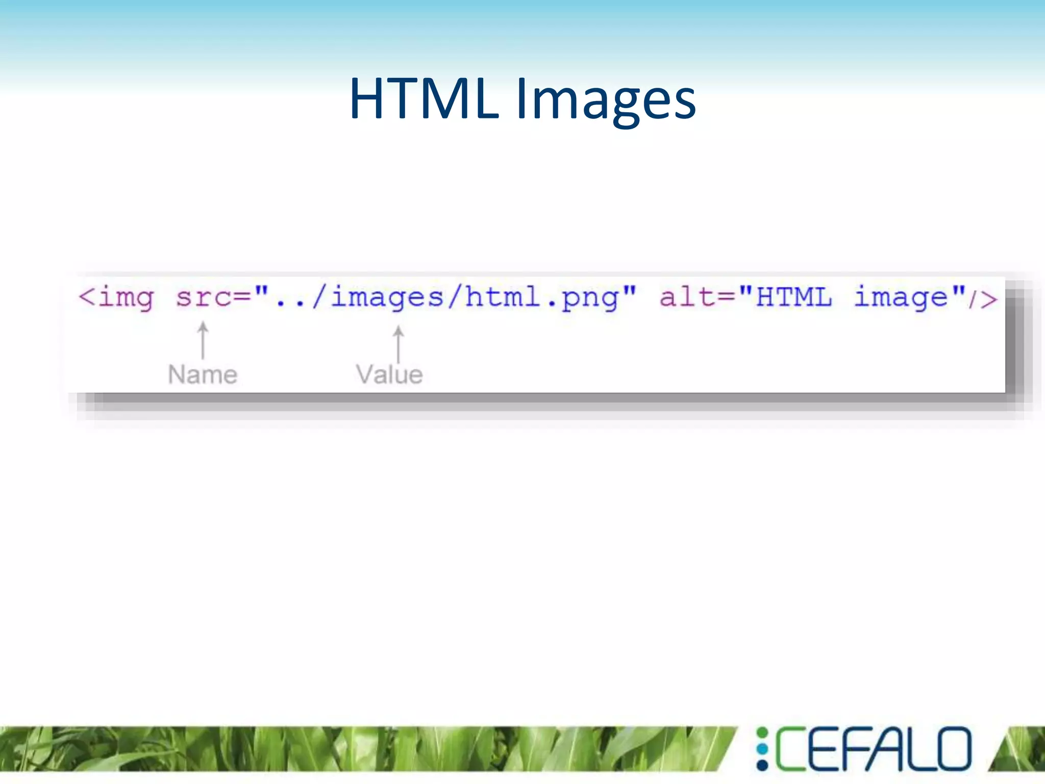 HTML Images
 