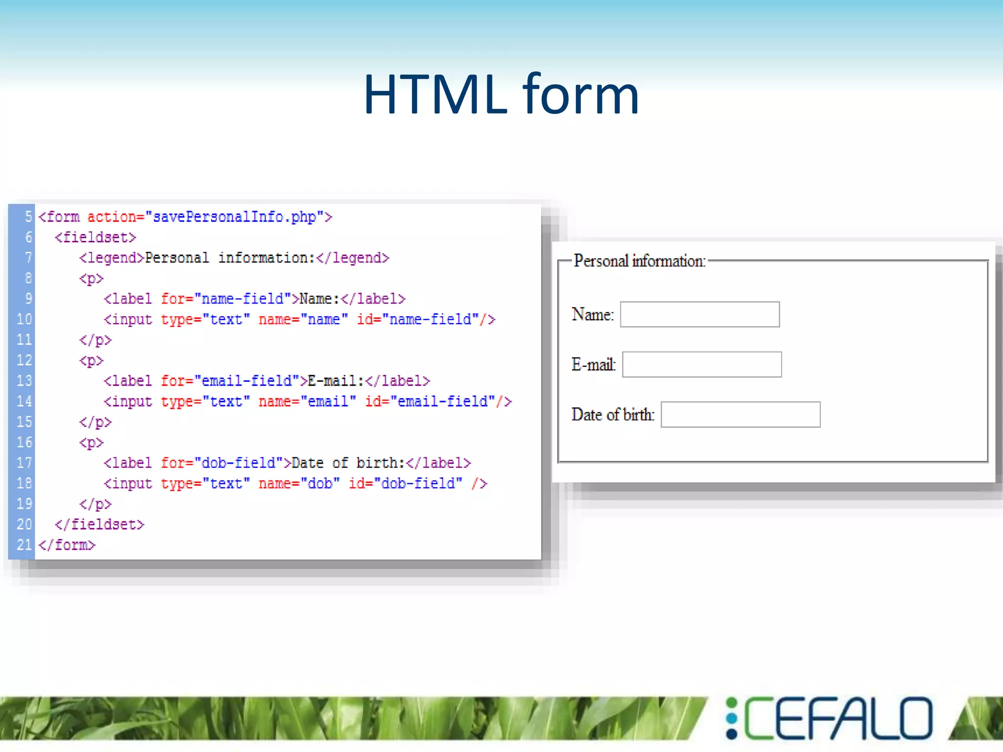 HTML form
 
