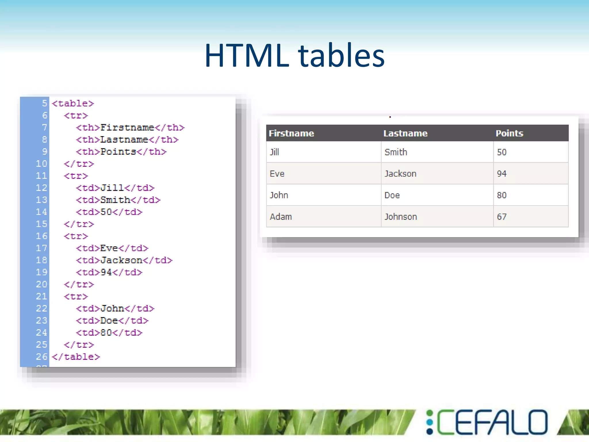 HTML tables
 
