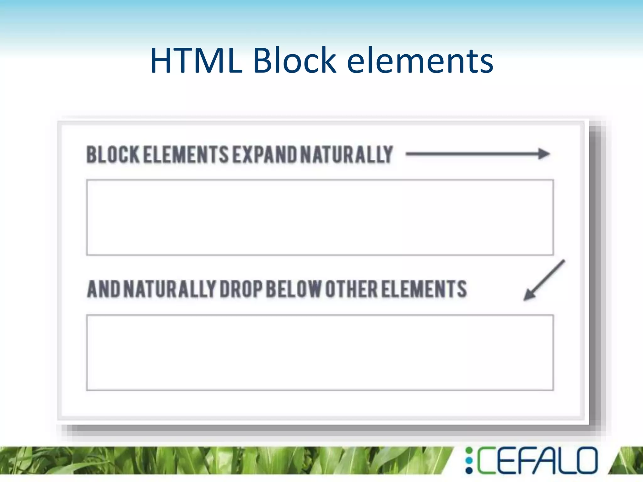 HTML Block elements
 