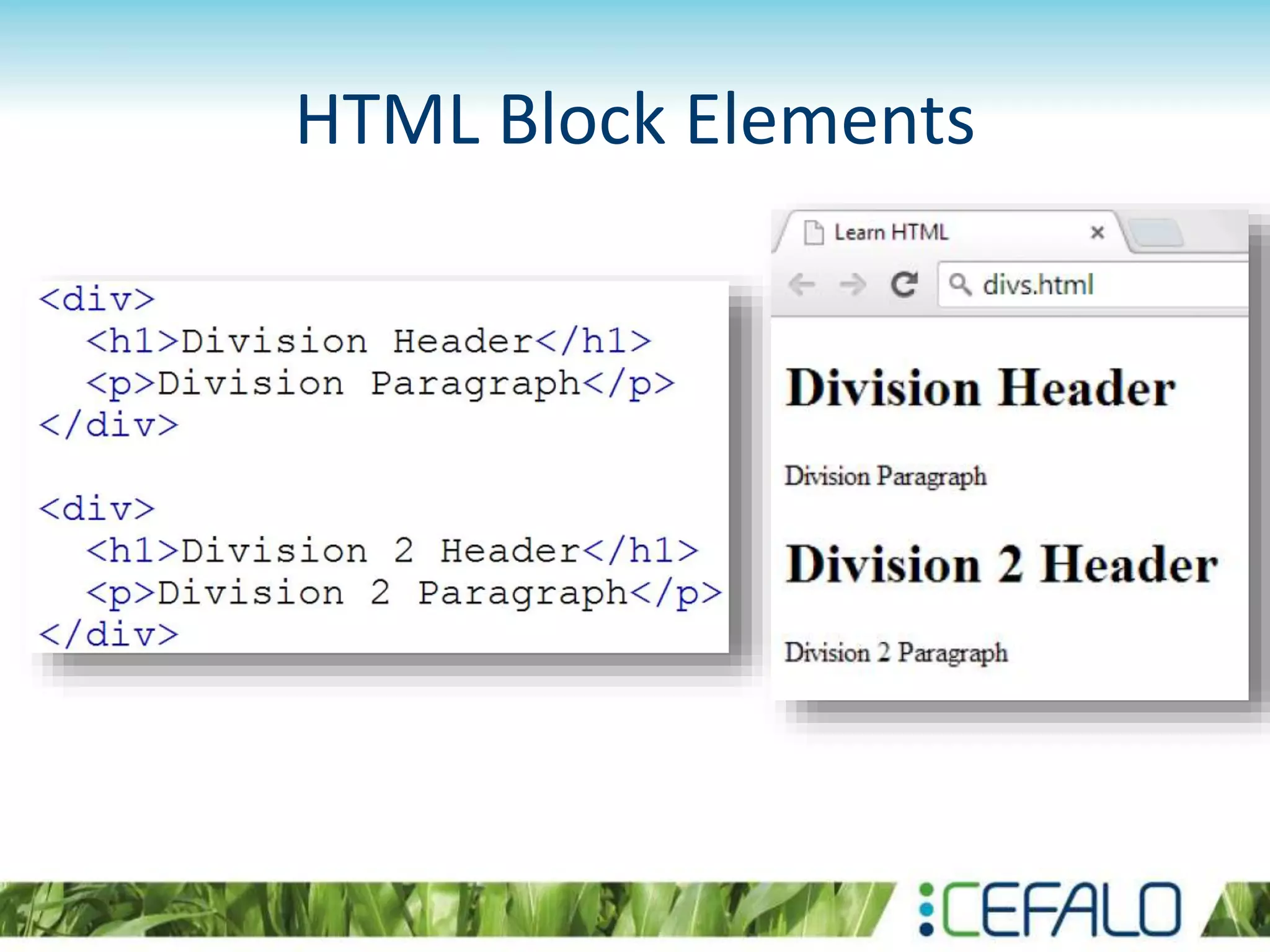HTML Block Elements
 