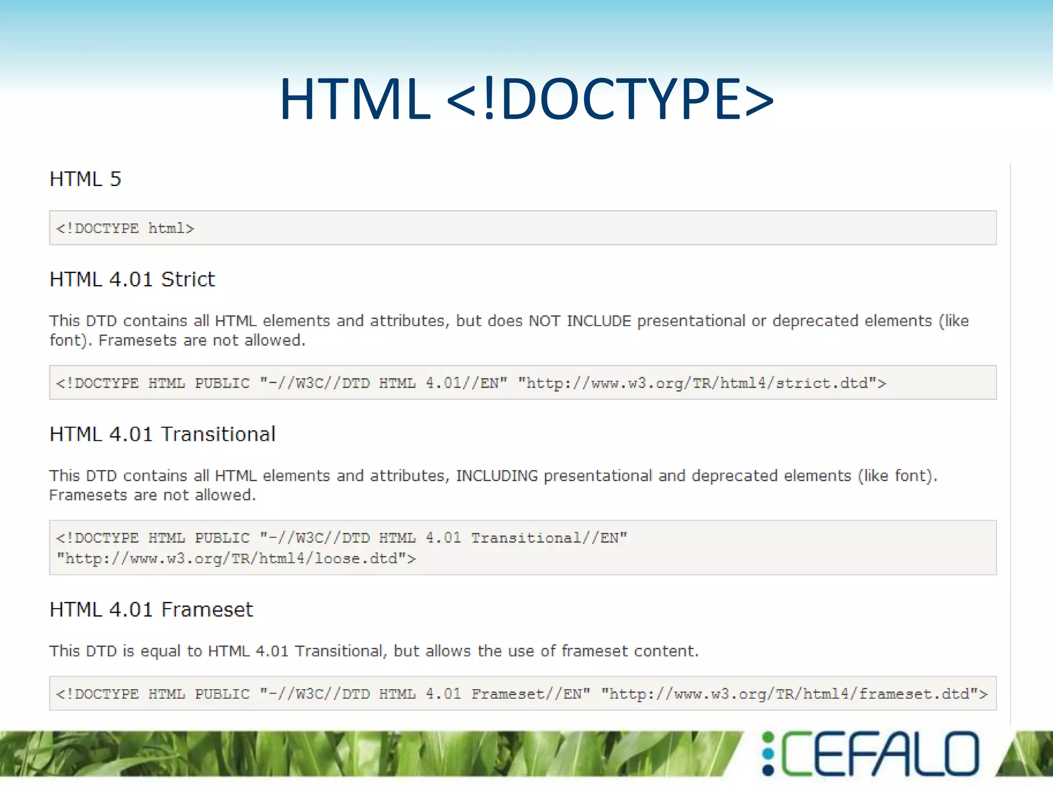 HTML <!DOCTYPE>
 