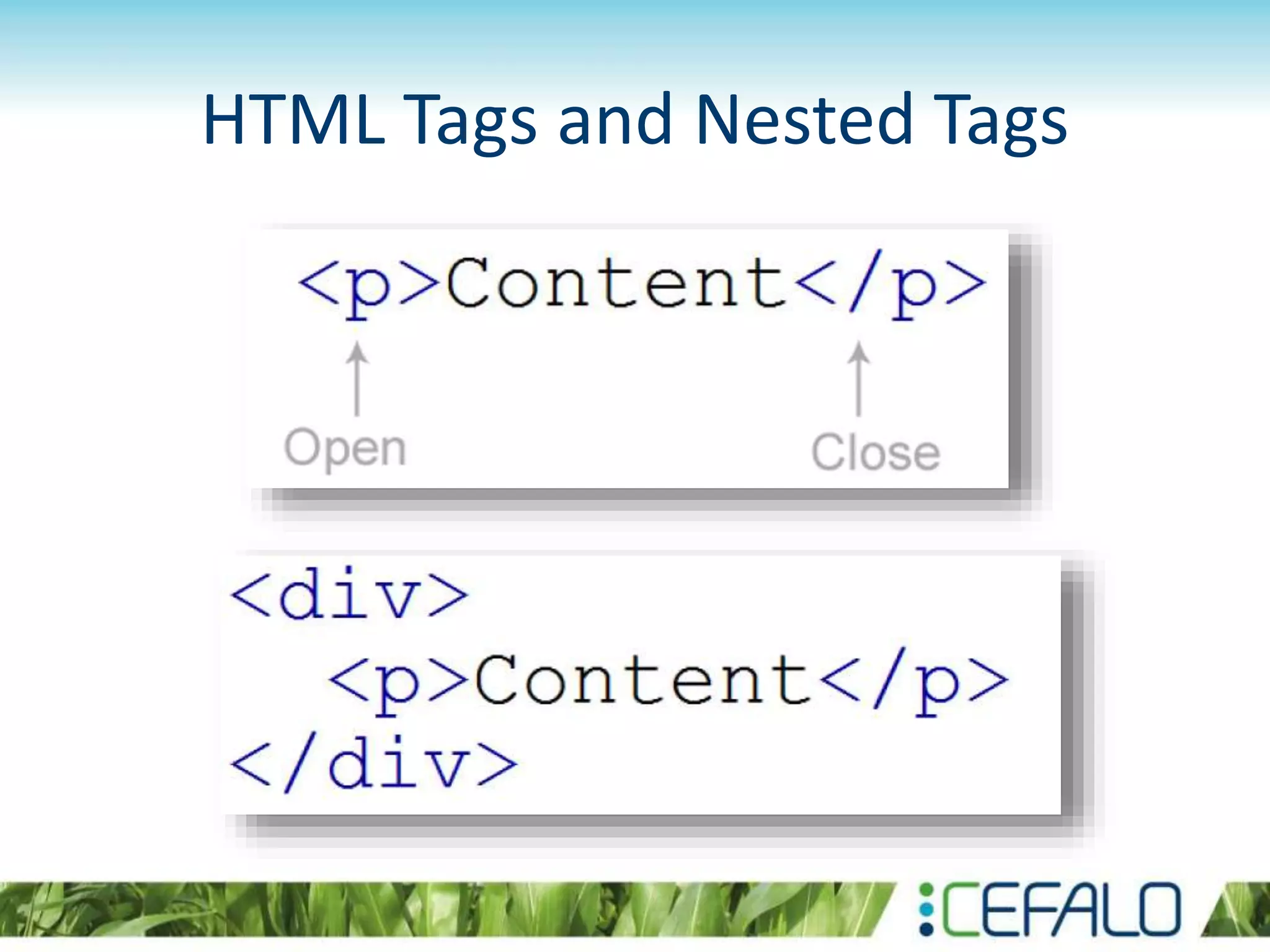HTML Tags and Nested Tags
 