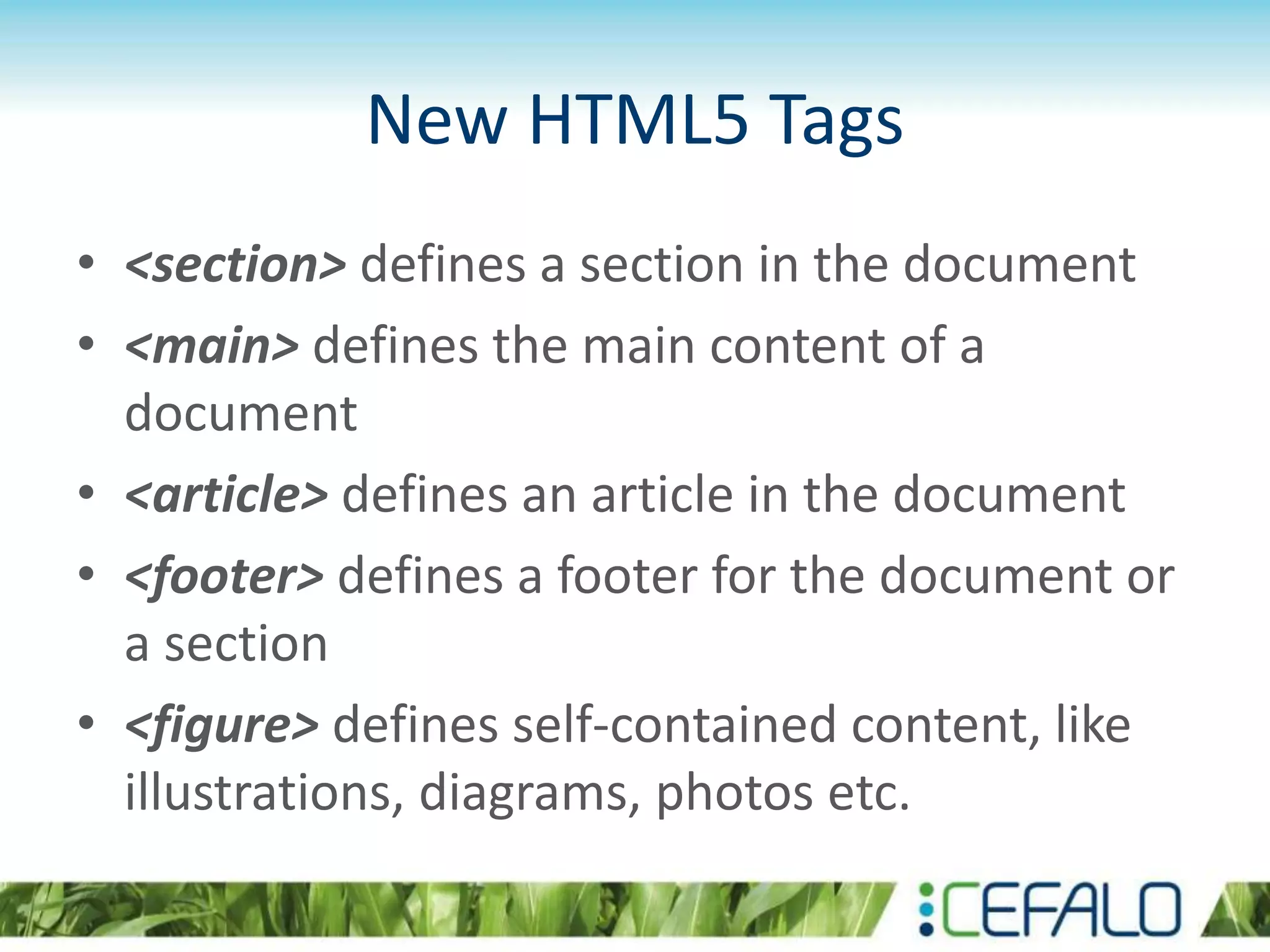New HTML5 Tags
• <section> defines a section in the document
• <main> defines the main content of a
document
• <article> defines an article in the document
• <footer> defines a footer for the document or
a section
• <figure> defines self-contained content, like
illustrations, diagrams, photos etc.
 