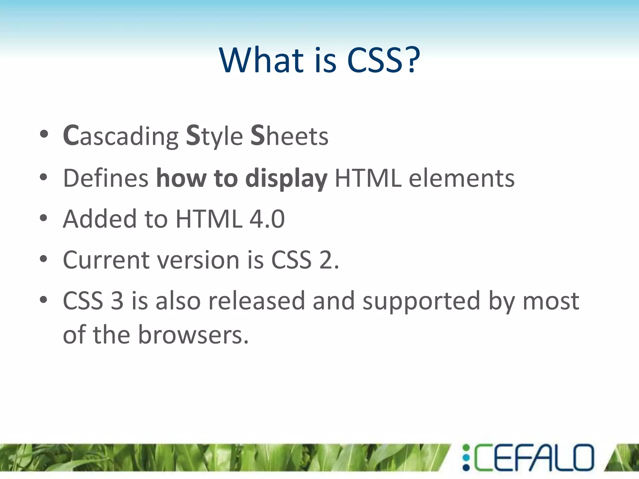 What is CSS?
• Cascading Style Sheets
• Defines how to display HTML elements
• Added to HTML 4.0
• Current version is CSS 2.
• CSS 3 is also released and supported by most
of the browsers.
 