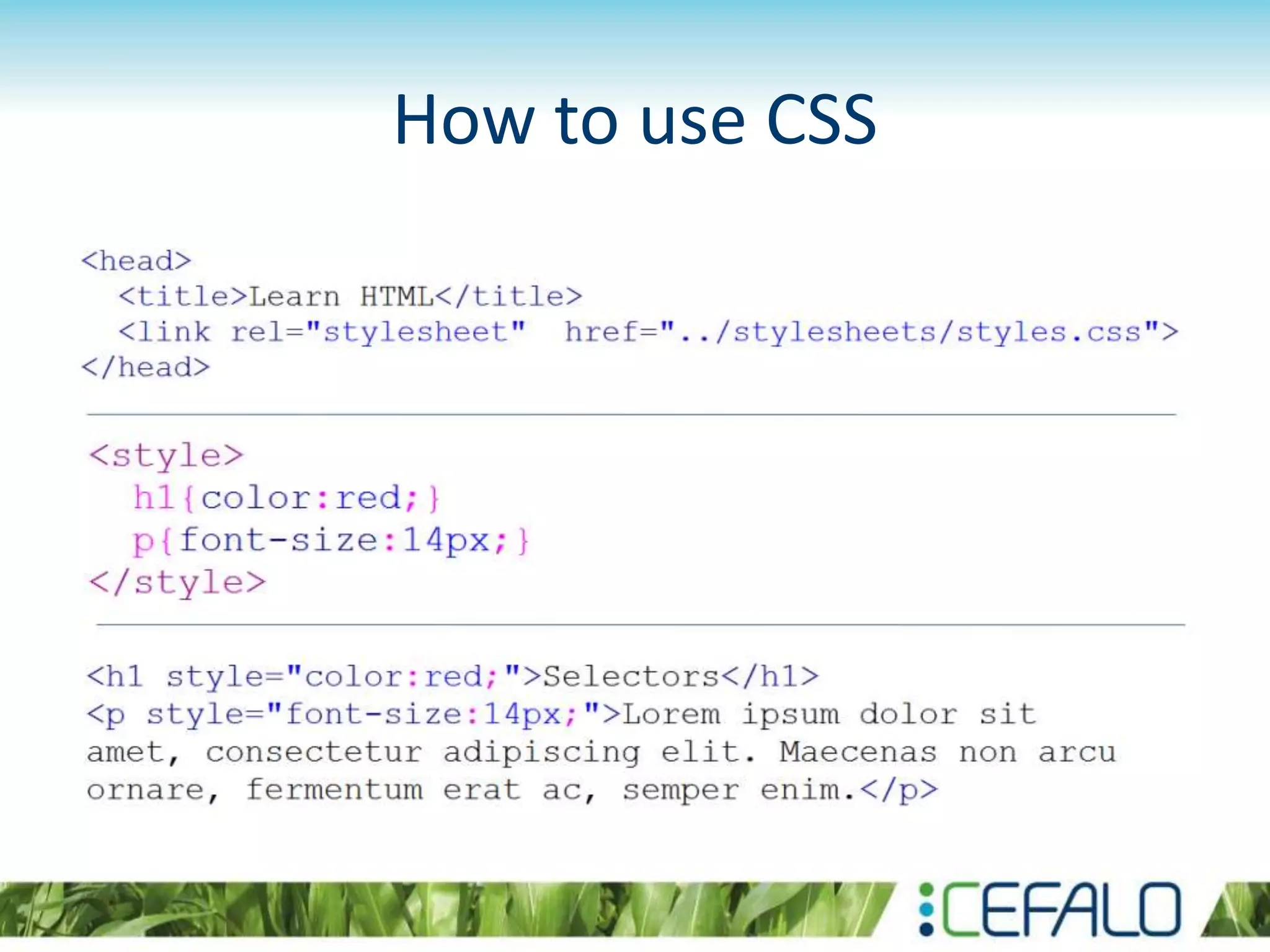 How to use CSS
 