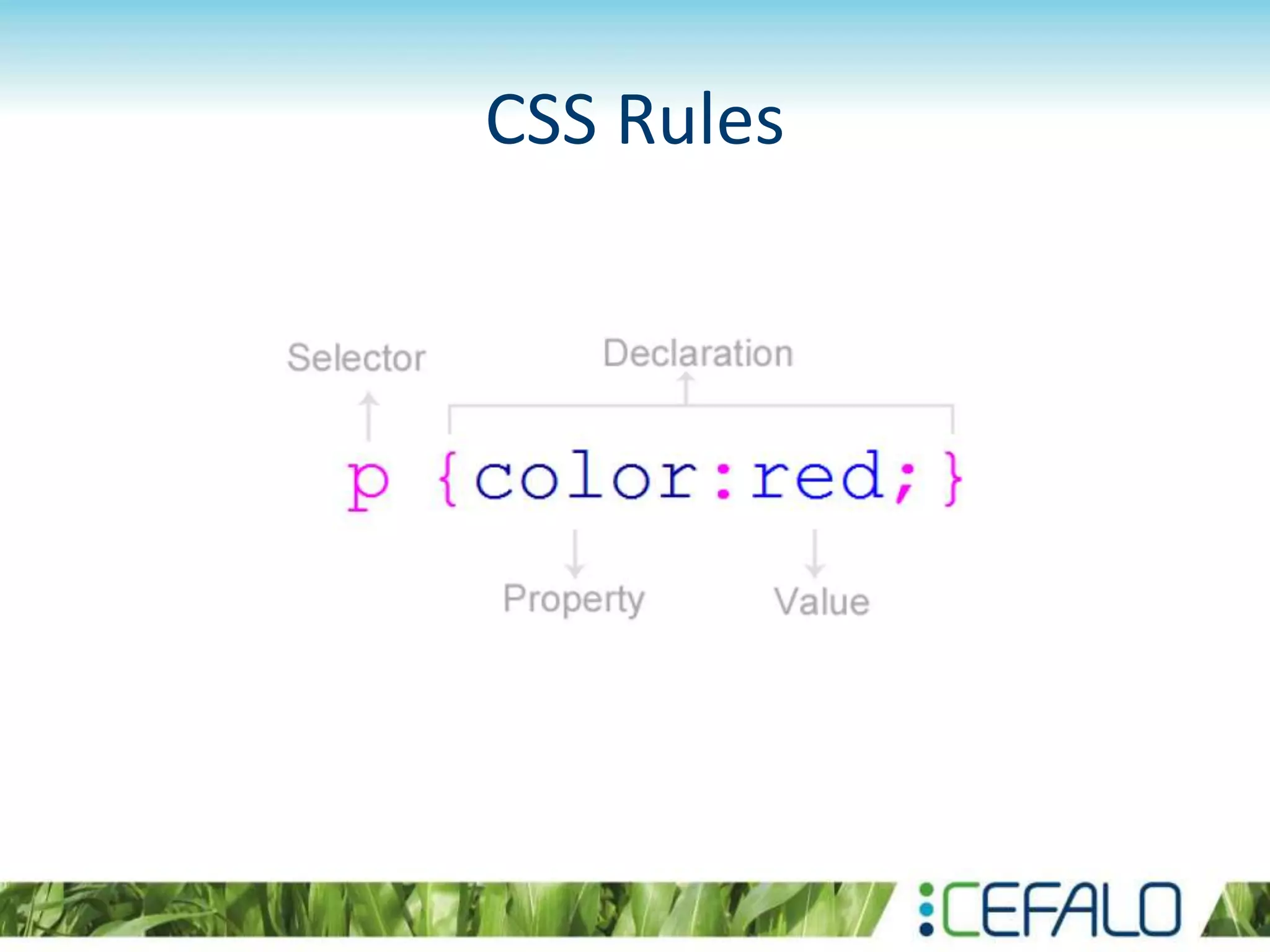 CSS Rules
 