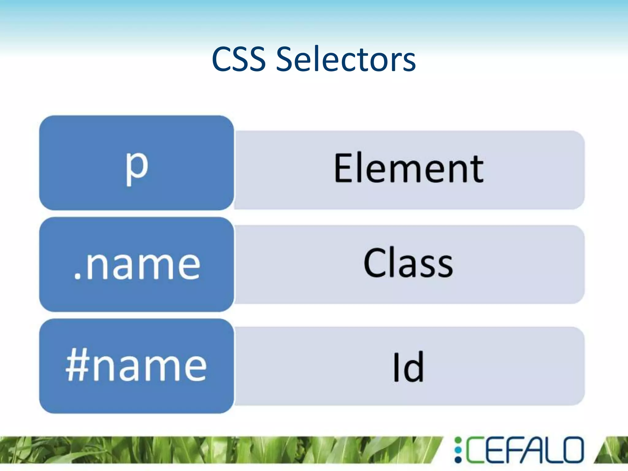 CSS Selectors
 