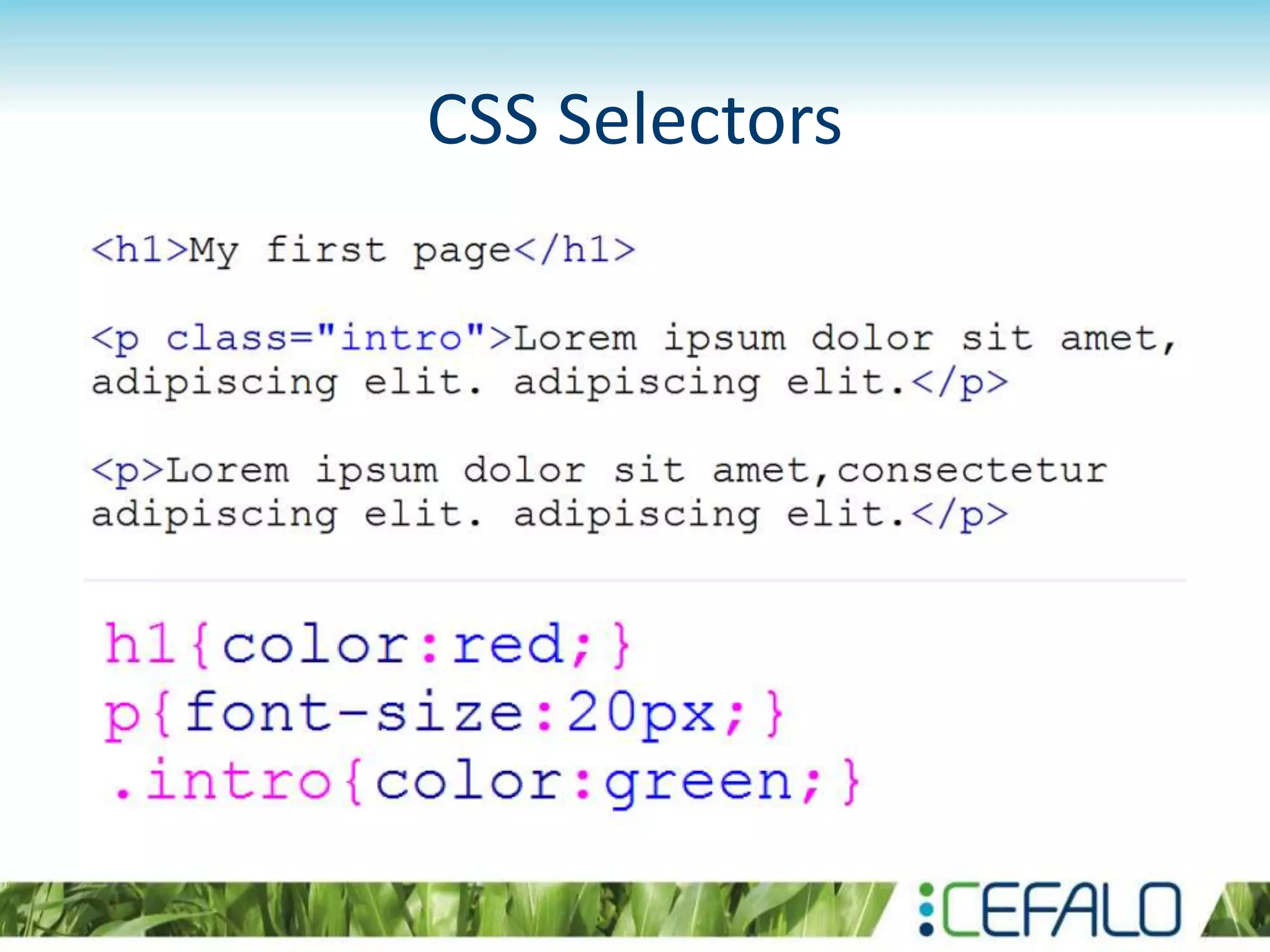CSS Selectors
 