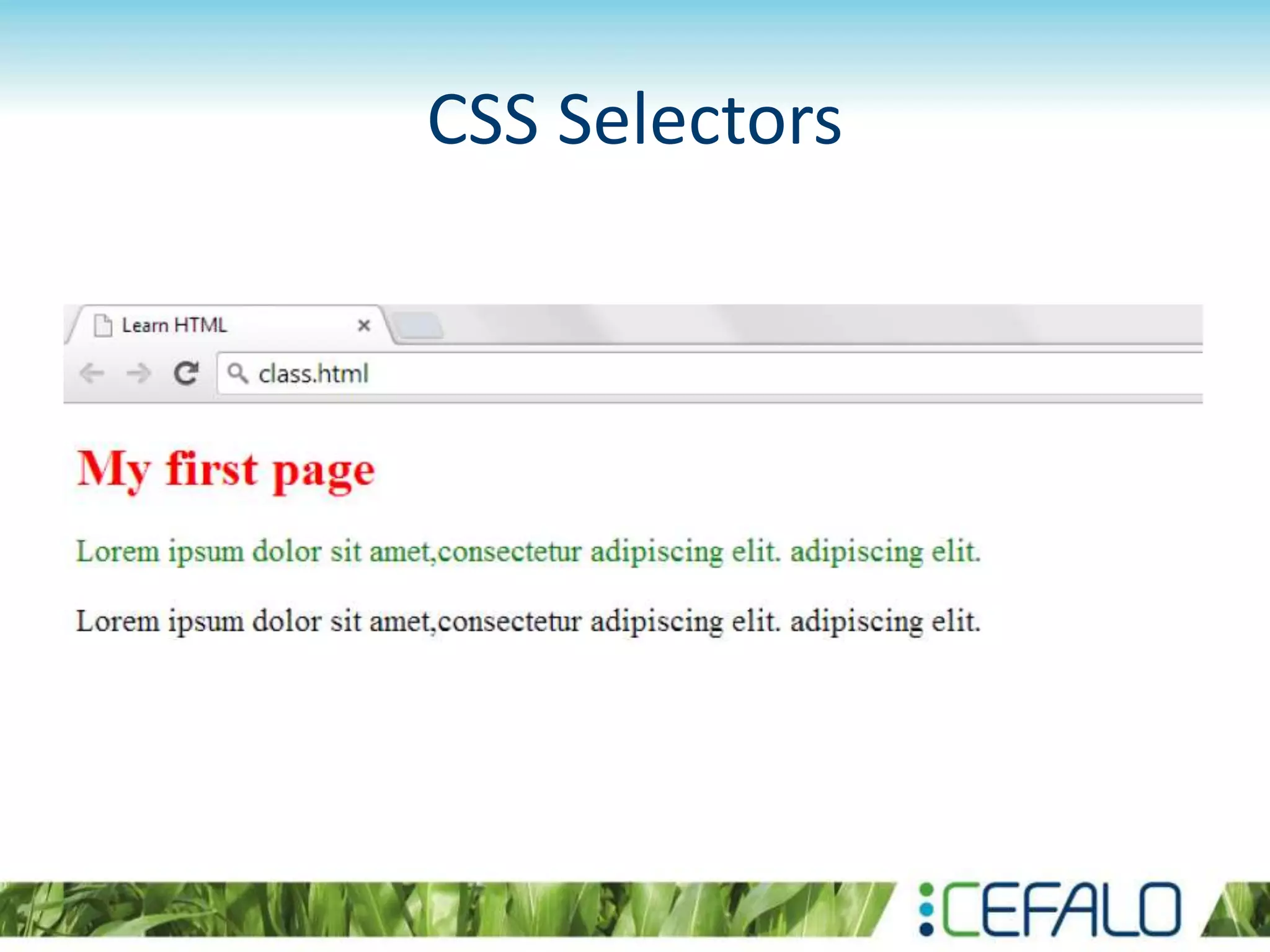 CSS Selectors
 