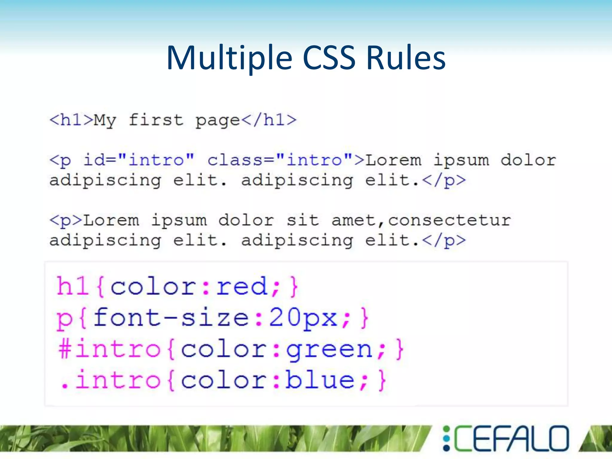 Multiple CSS Rules
 