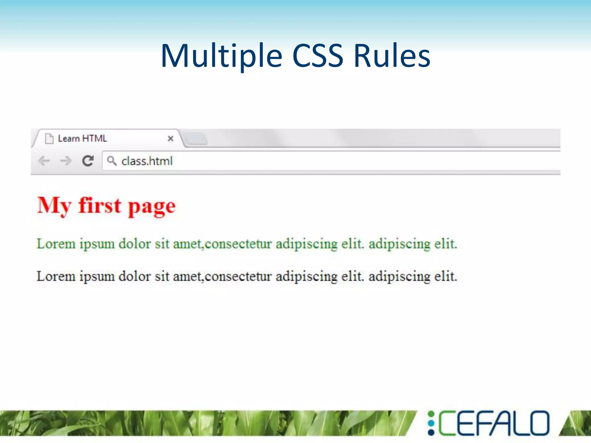 Multiple CSS Rules
 