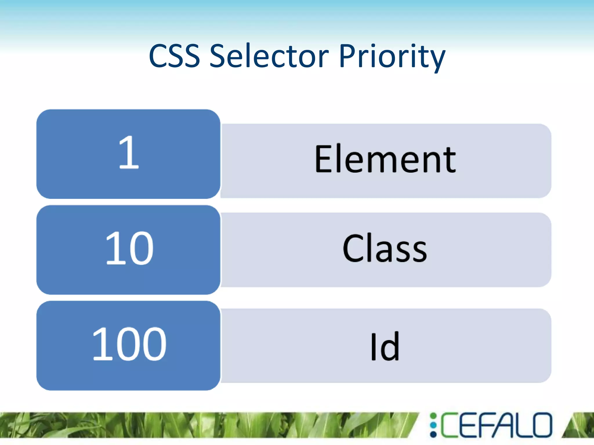 CSS Selector Priority
 