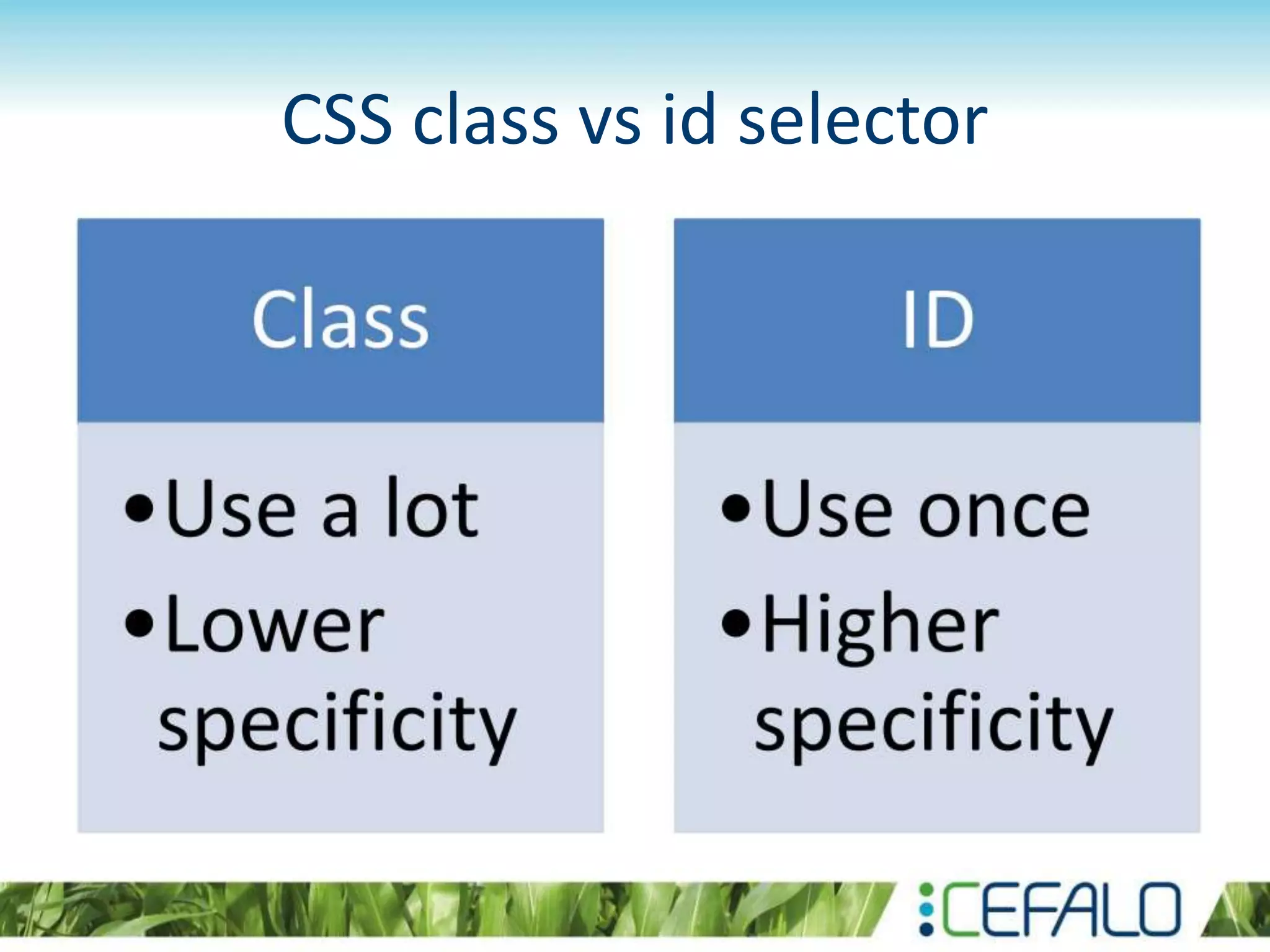 CSS class vs id selector
 