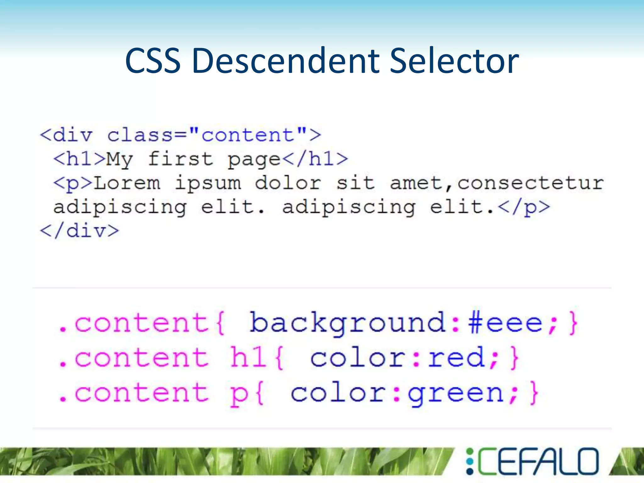 CSS Descendent Selector
 