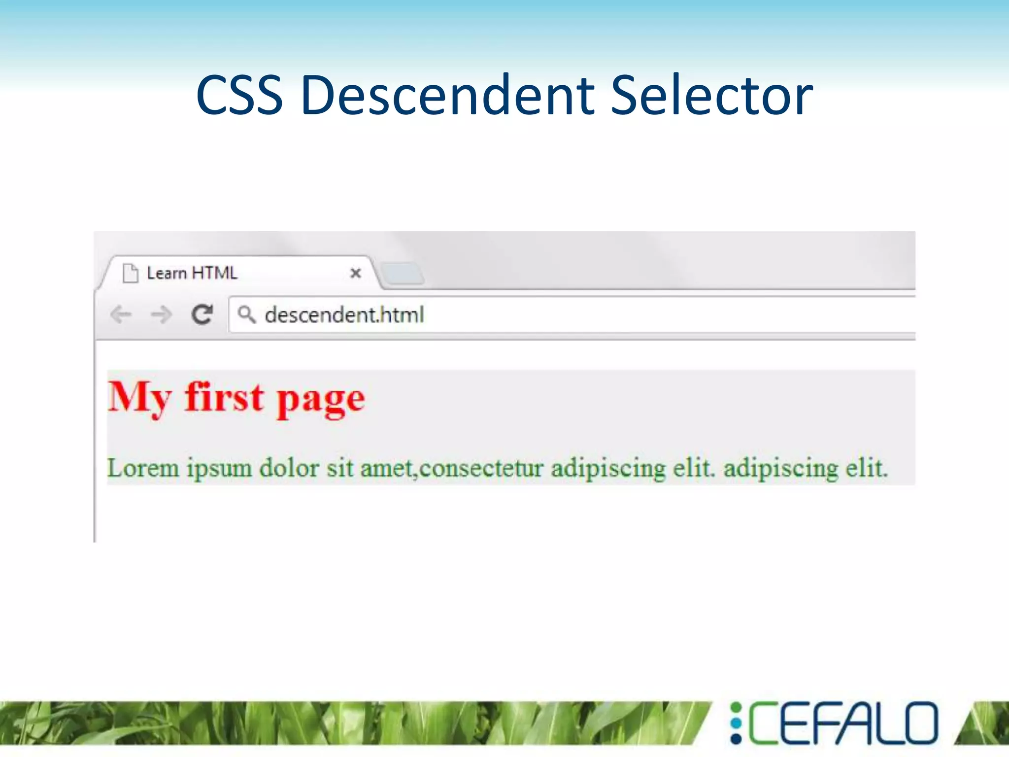 CSS Descendent Selector
 