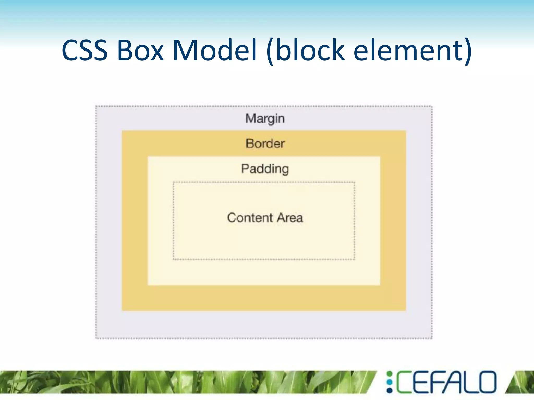 CSS Box Model (block element)
 