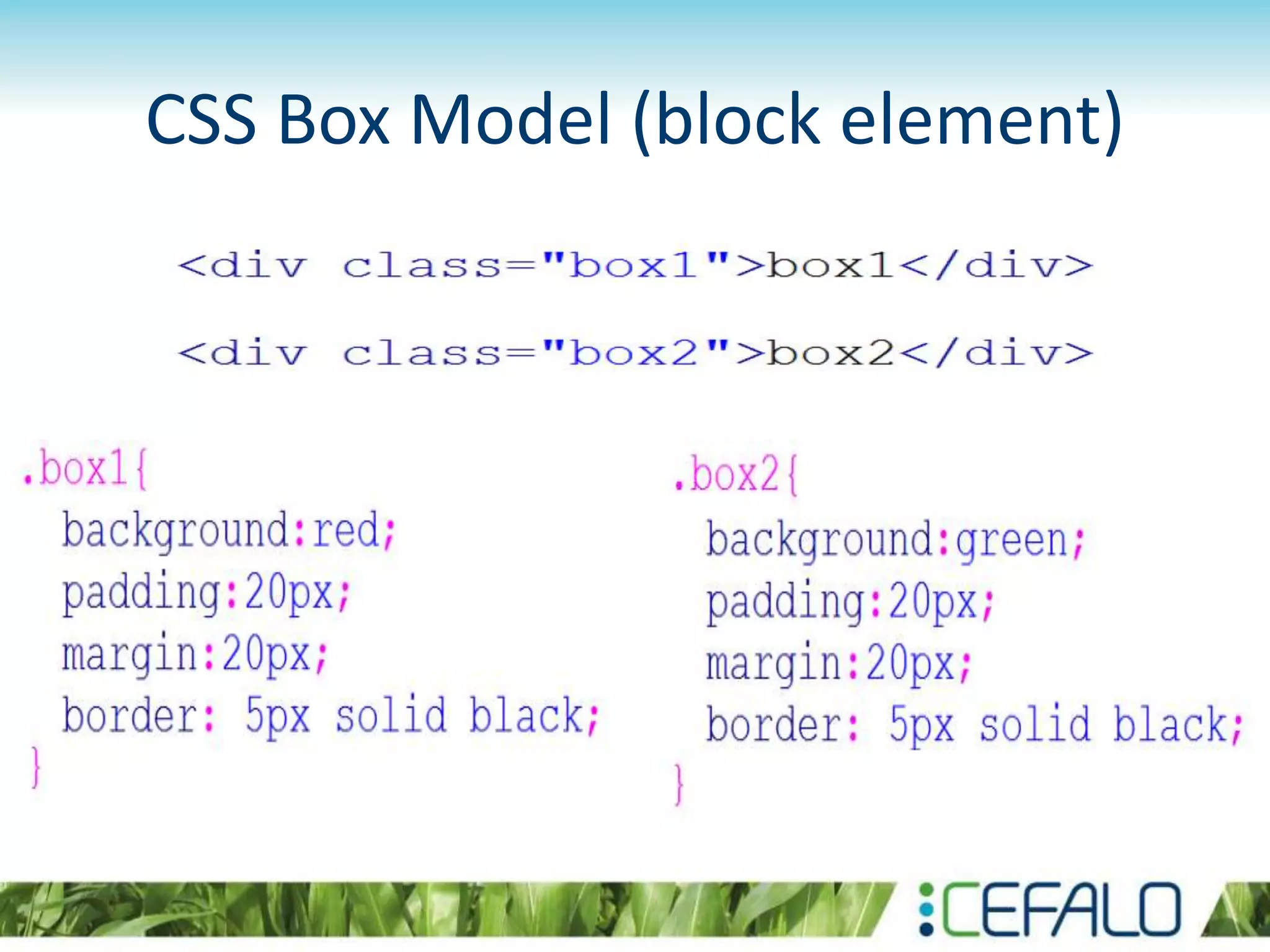 CSS Box Model (block element)
 