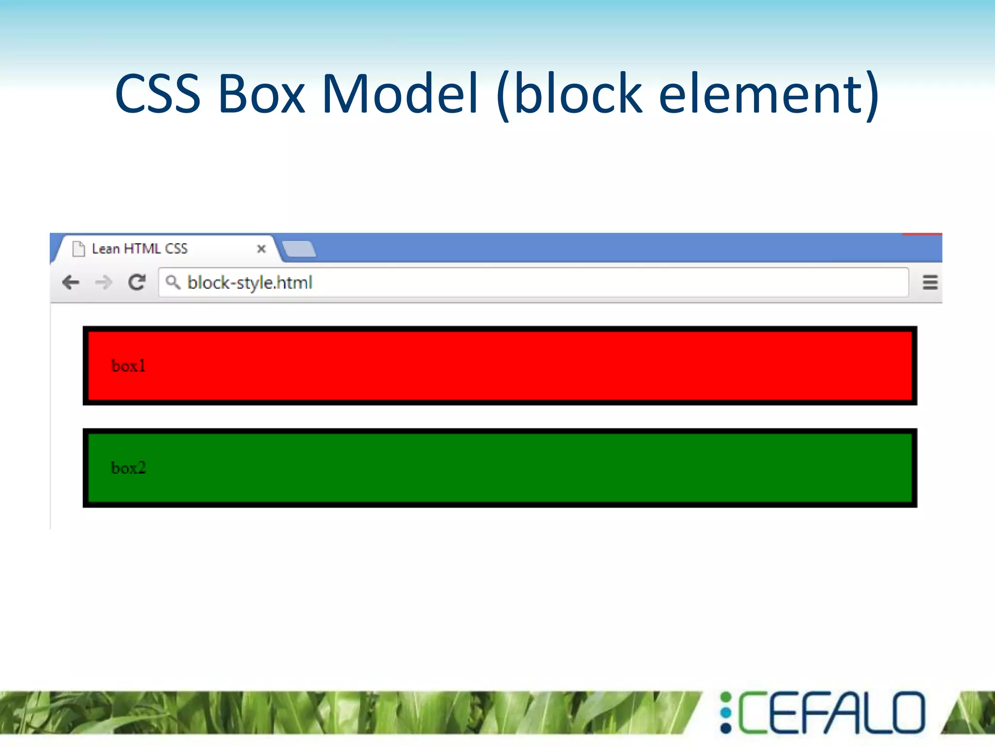 CSS Box Model (block element)
 