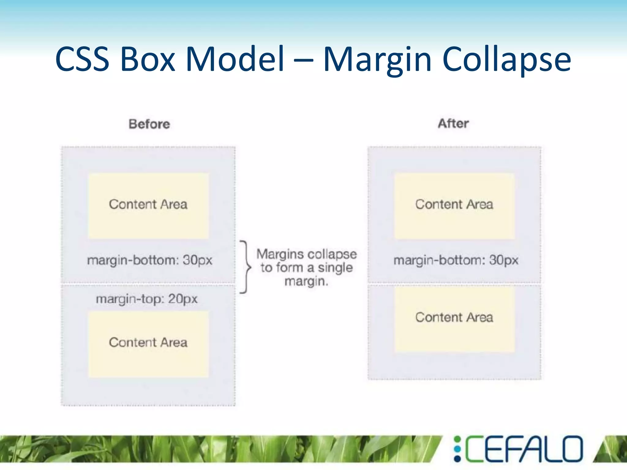 CSS Box Model – Margin Collapse
 