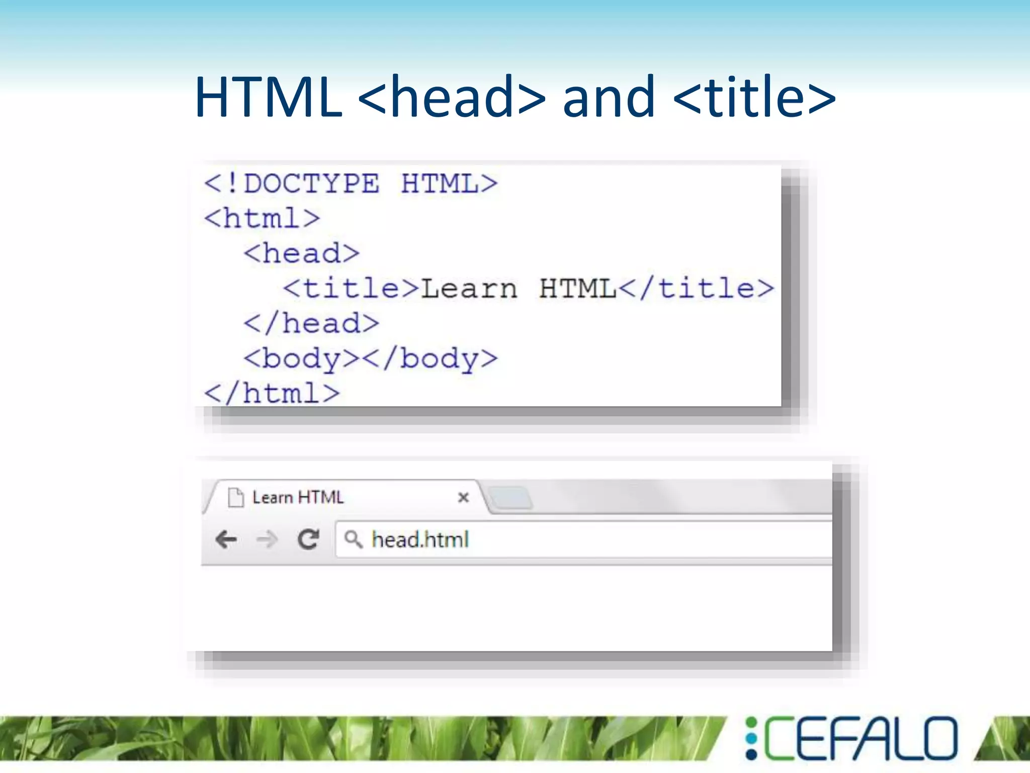 HTML <head> and <title>
 