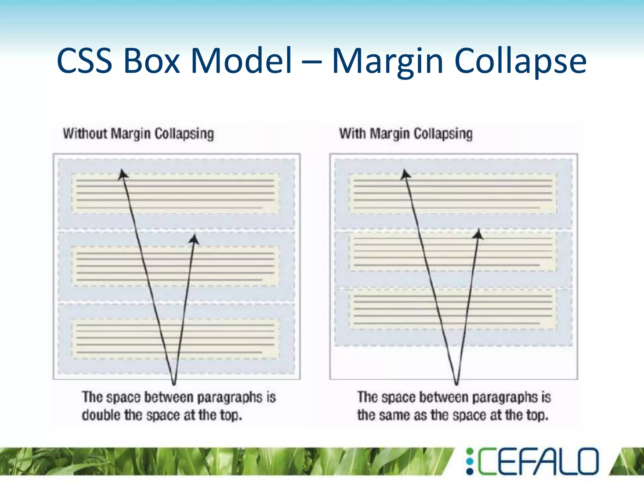 CSS Box Model – Margin Collapse
 
