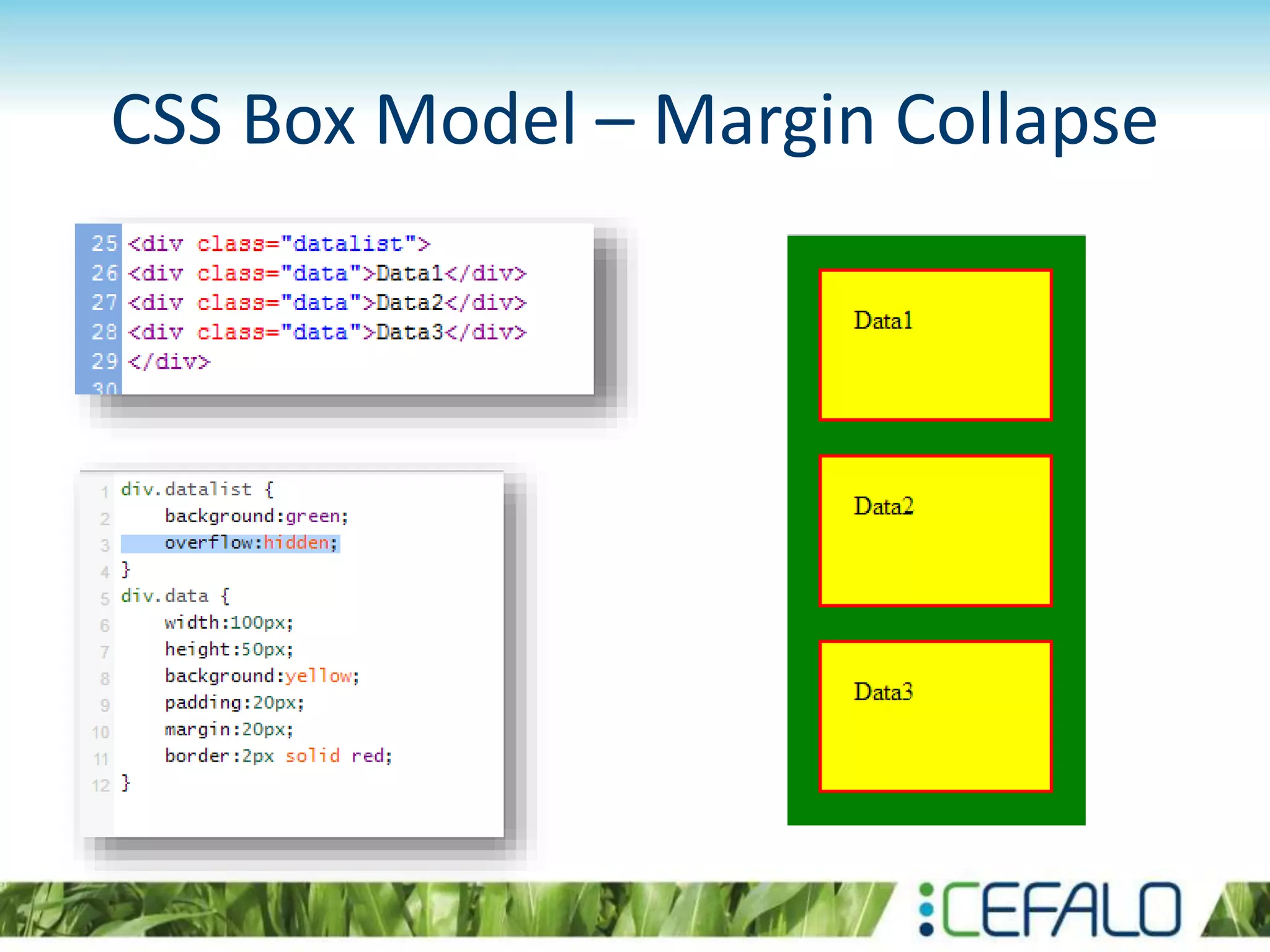 CSS Box Model – Margin Collapse
 