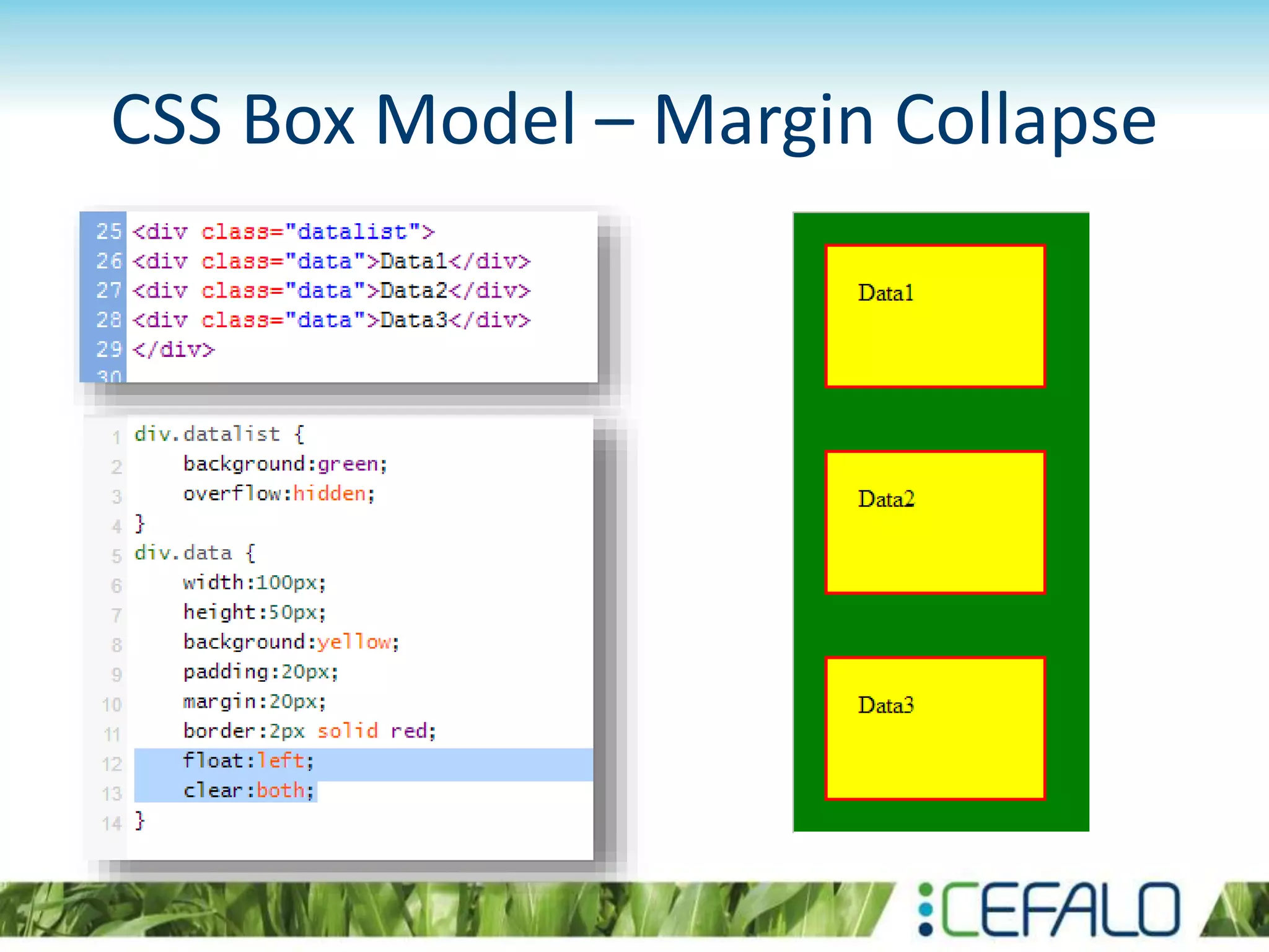 CSS Box Model – Margin Collapse
 