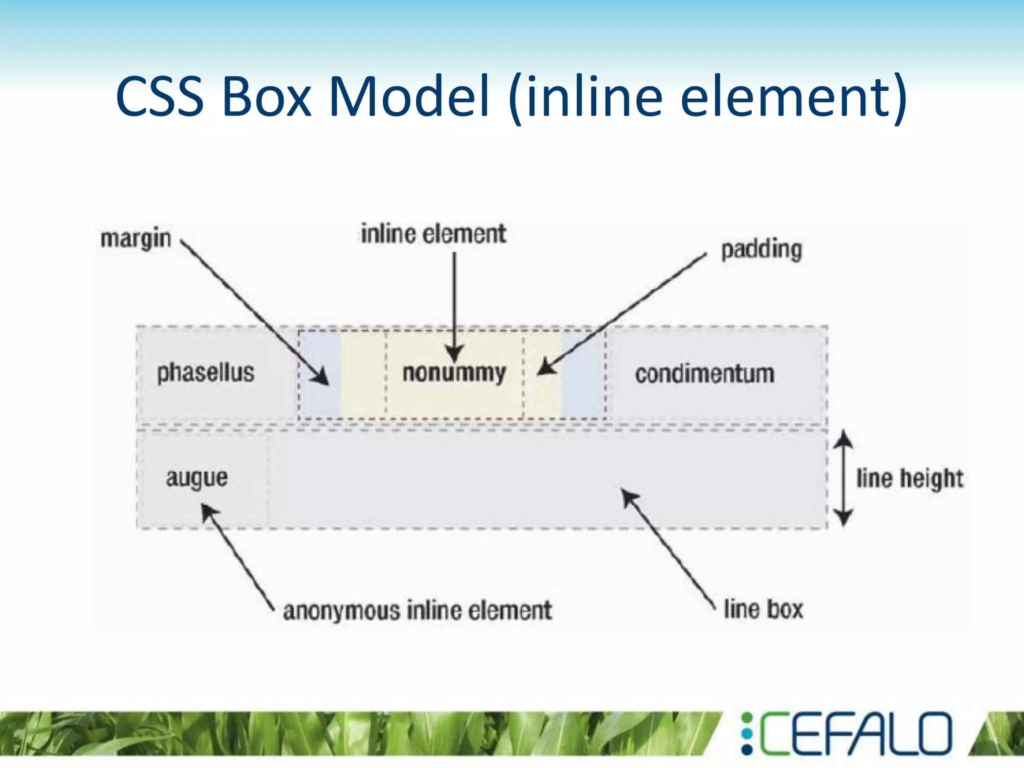 CSS Box Model (inline element)
 