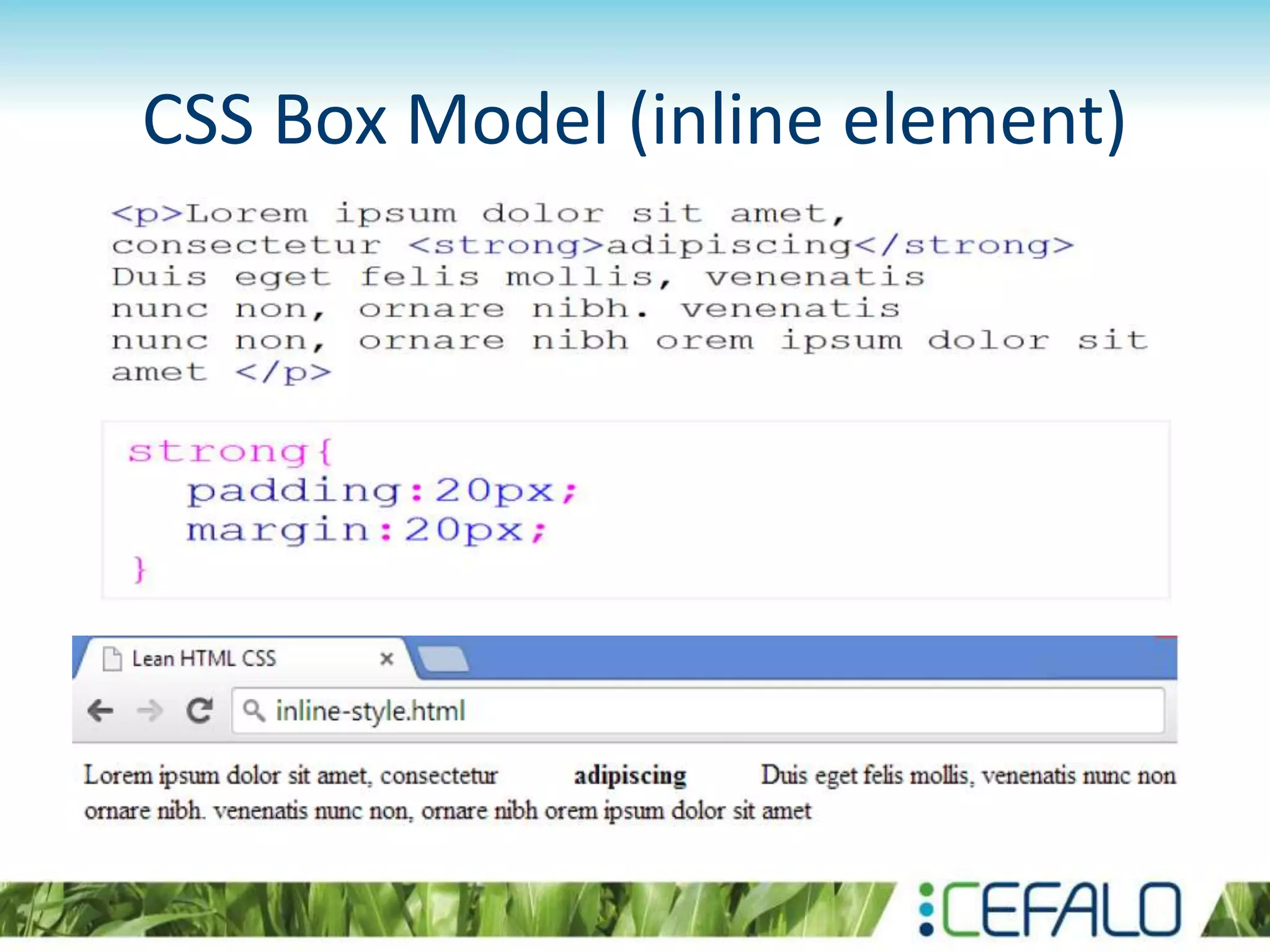 CSS Box Model (inline element)
 
