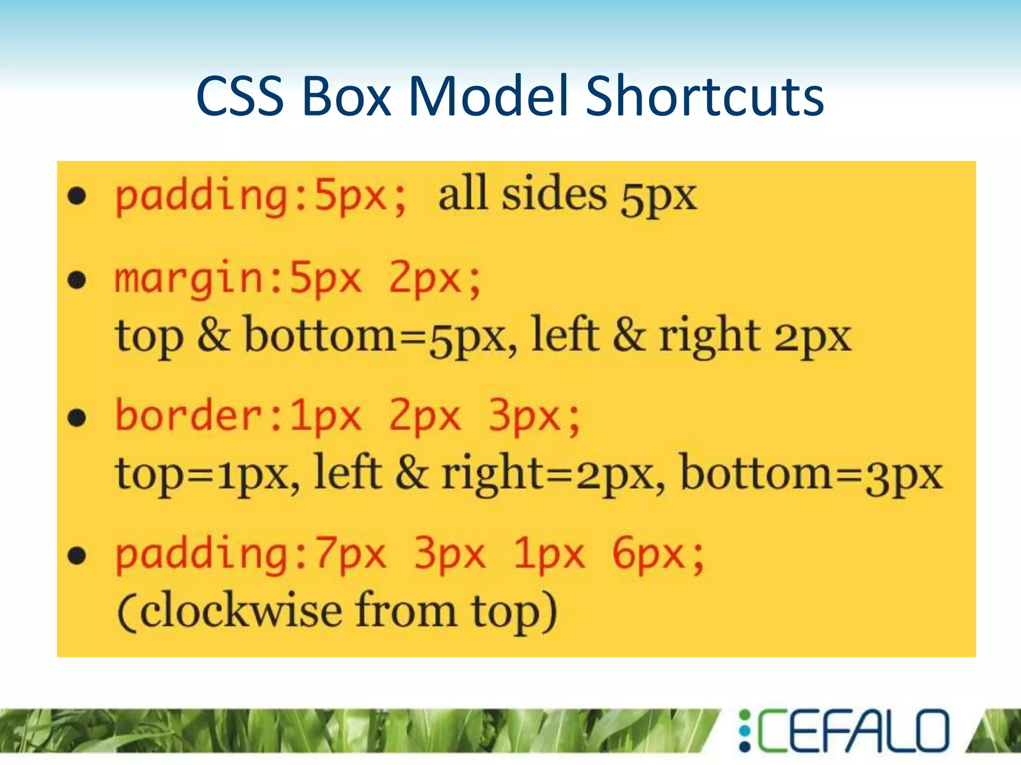 CSS Box Model Shortcuts
 
