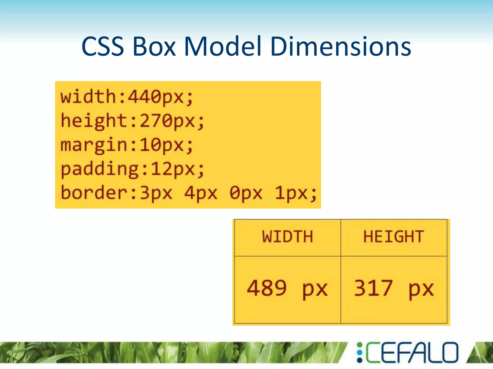 CSS Box Model Dimensions
 