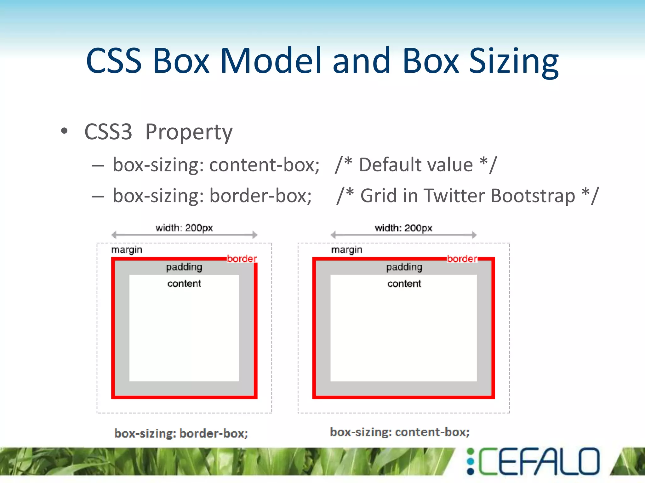 CSS Box Model and Box Sizing
• CSS3 Property
– box-sizing: content-box; /* Default value */
– box-sizing: border-box; /* Grid in Twitter Bootstrap */
 
