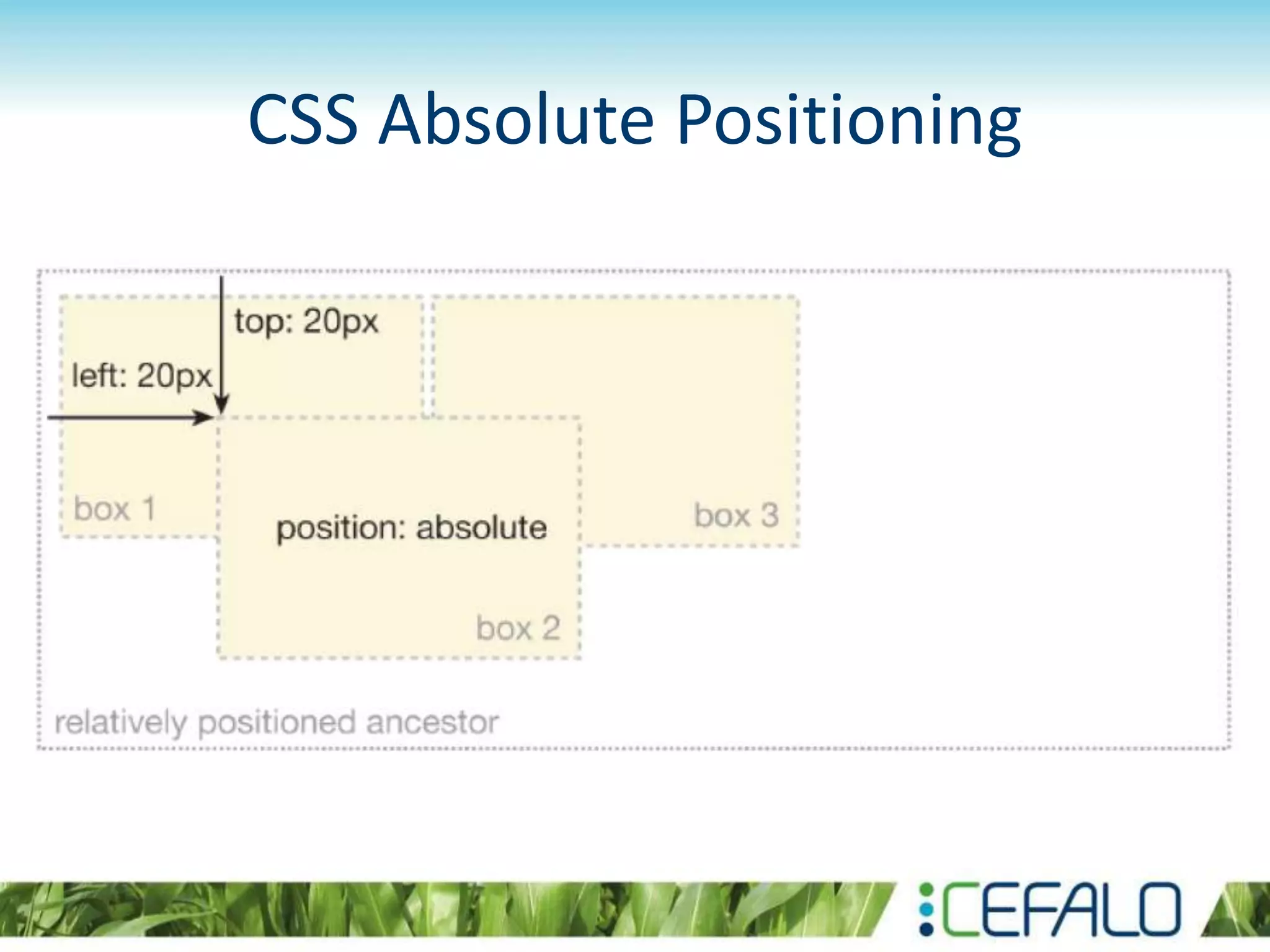 CSS Absolute Positioning
 
