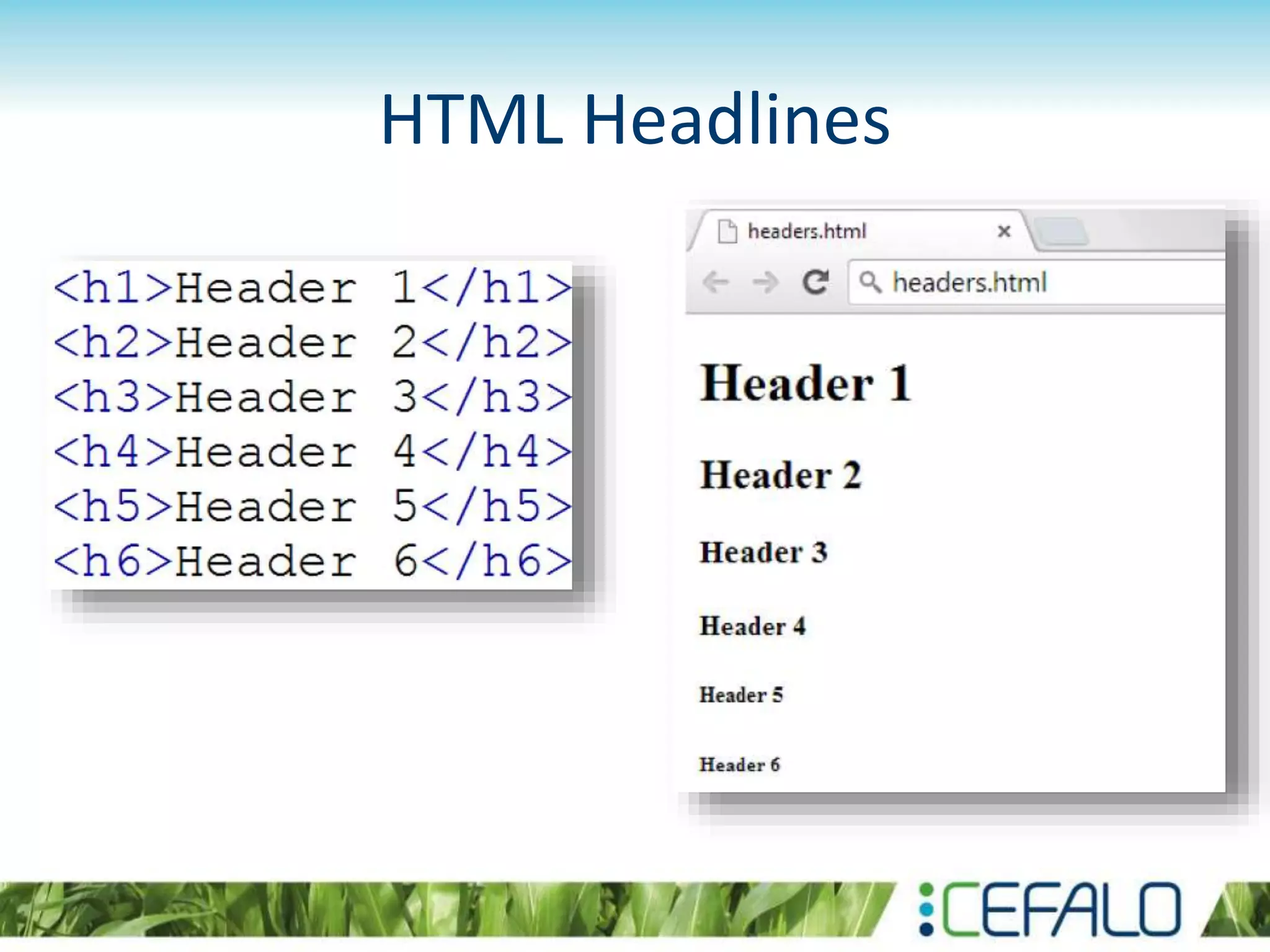 HTML Headlines
 