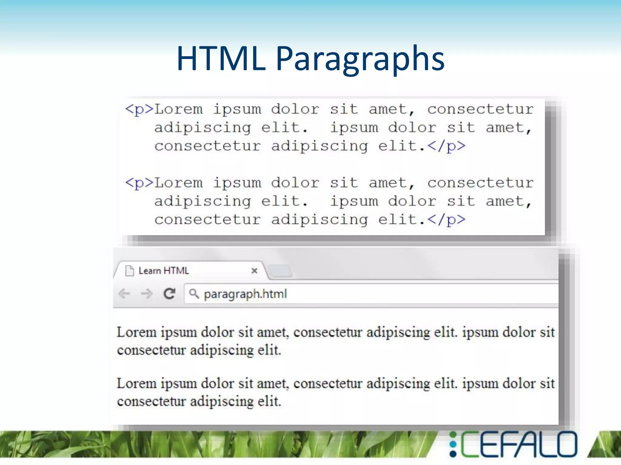 HTML Paragraphs
 