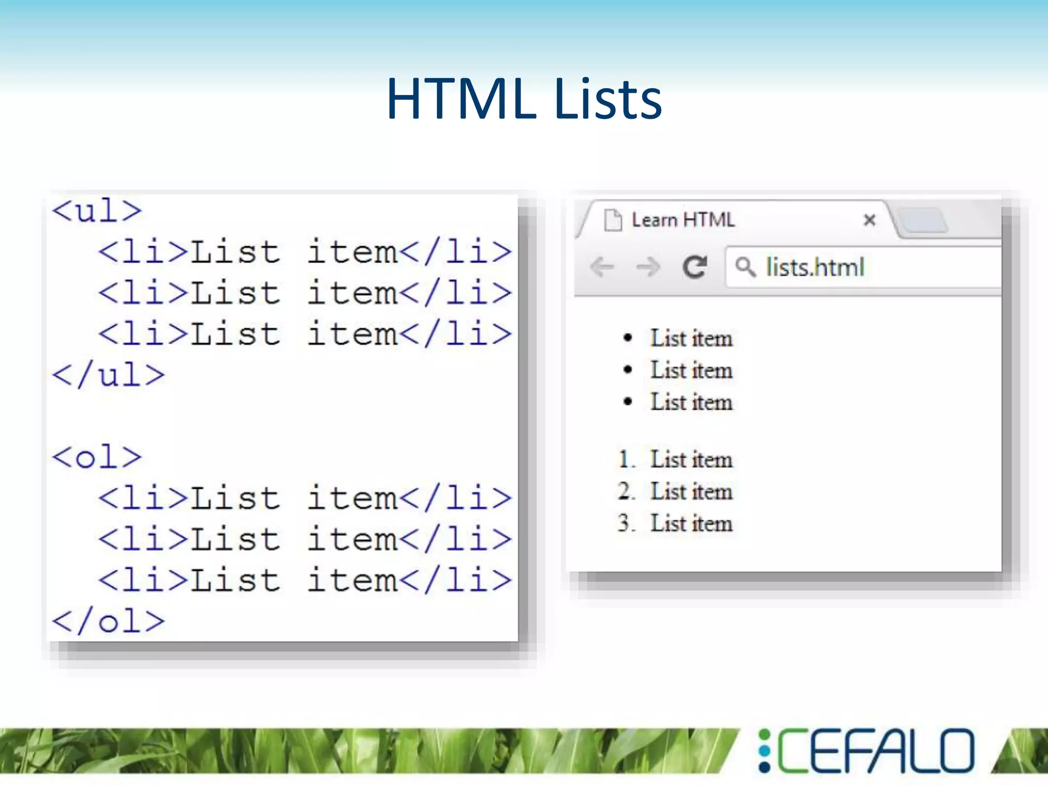 HTML Lists
 