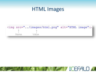HTML Images
 