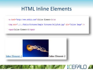 HTML Inline Elements
 