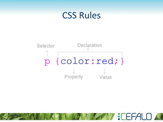 CSS Rules
 