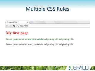Multiple CSS Rules
 