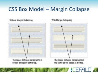 CSS Box Model – Margin Collapse
 