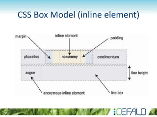 CSS Box Model (inline element)
 
